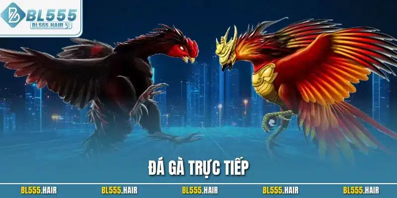 Đá gà trực tiếp